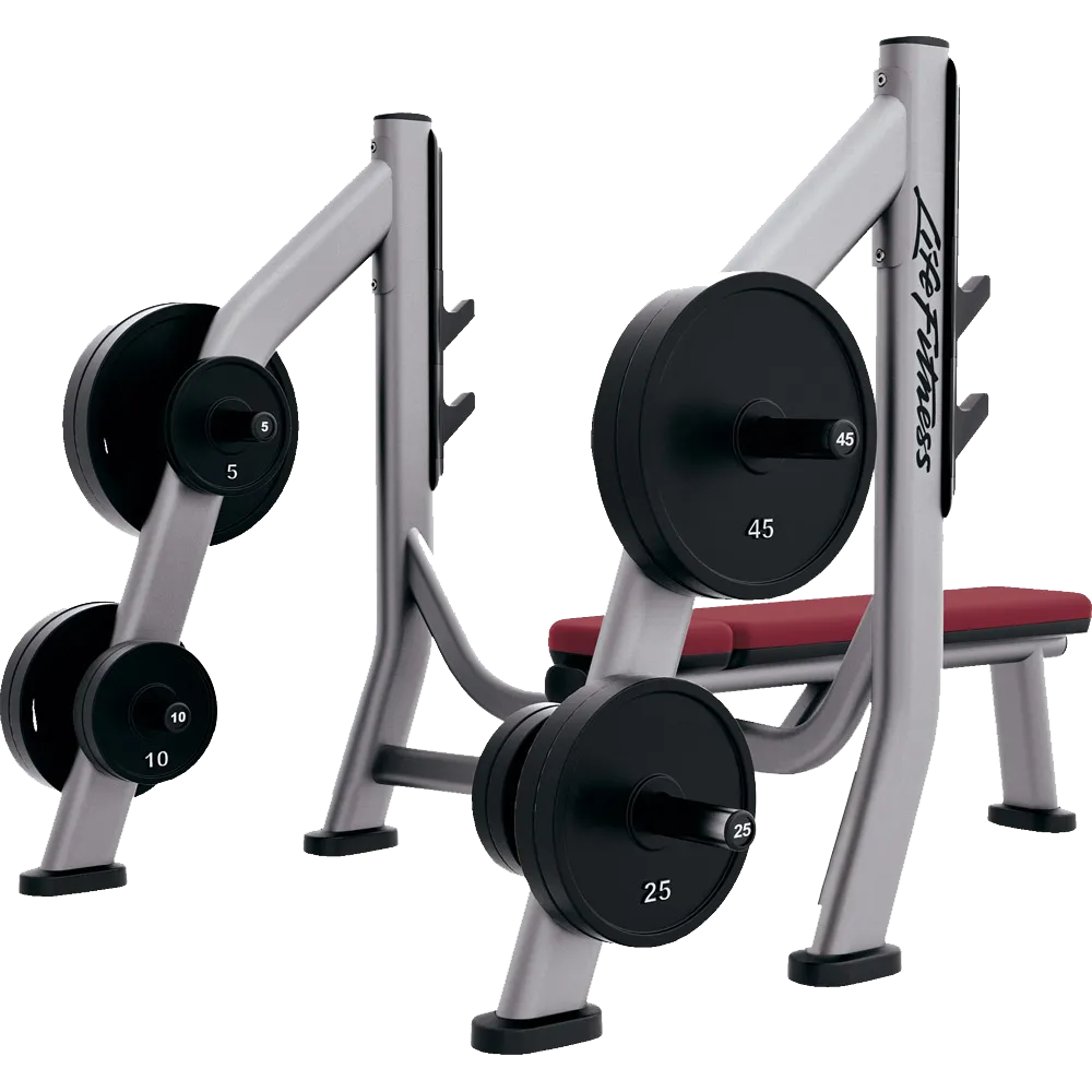 Life Fitness Signature Series Olympic Bench Weight Storage (ADDED STORAGE ONLY)